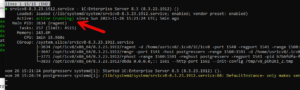 systemctl status srv1cv8-8.3.23.1912.service