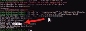 Просмотр файла backup_label