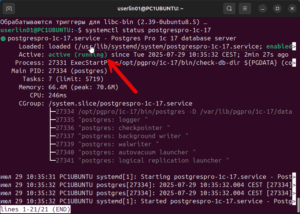 Проверим что СУБД PostgreSQL 17 работает